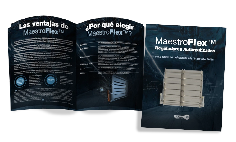 Image showing the Maestro brochures, by Magu